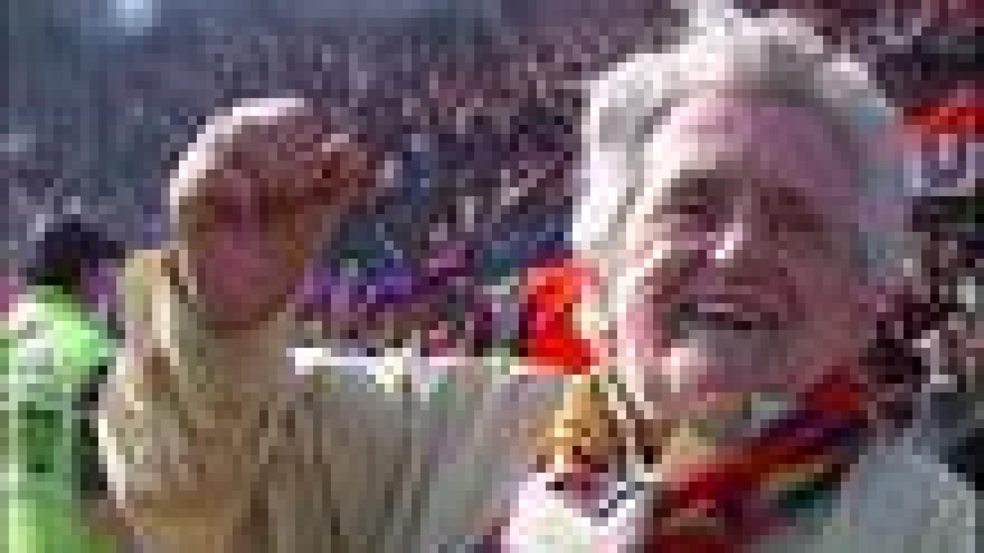 RFC Liège : la fête